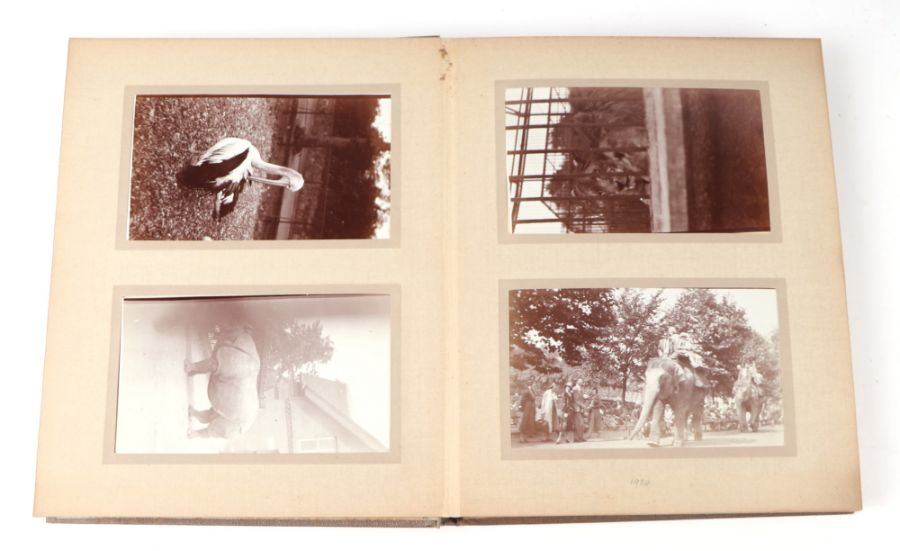 Two private photograph albums containing images of London Zoo between 1925 and 1935, each album - Image 19 of 60