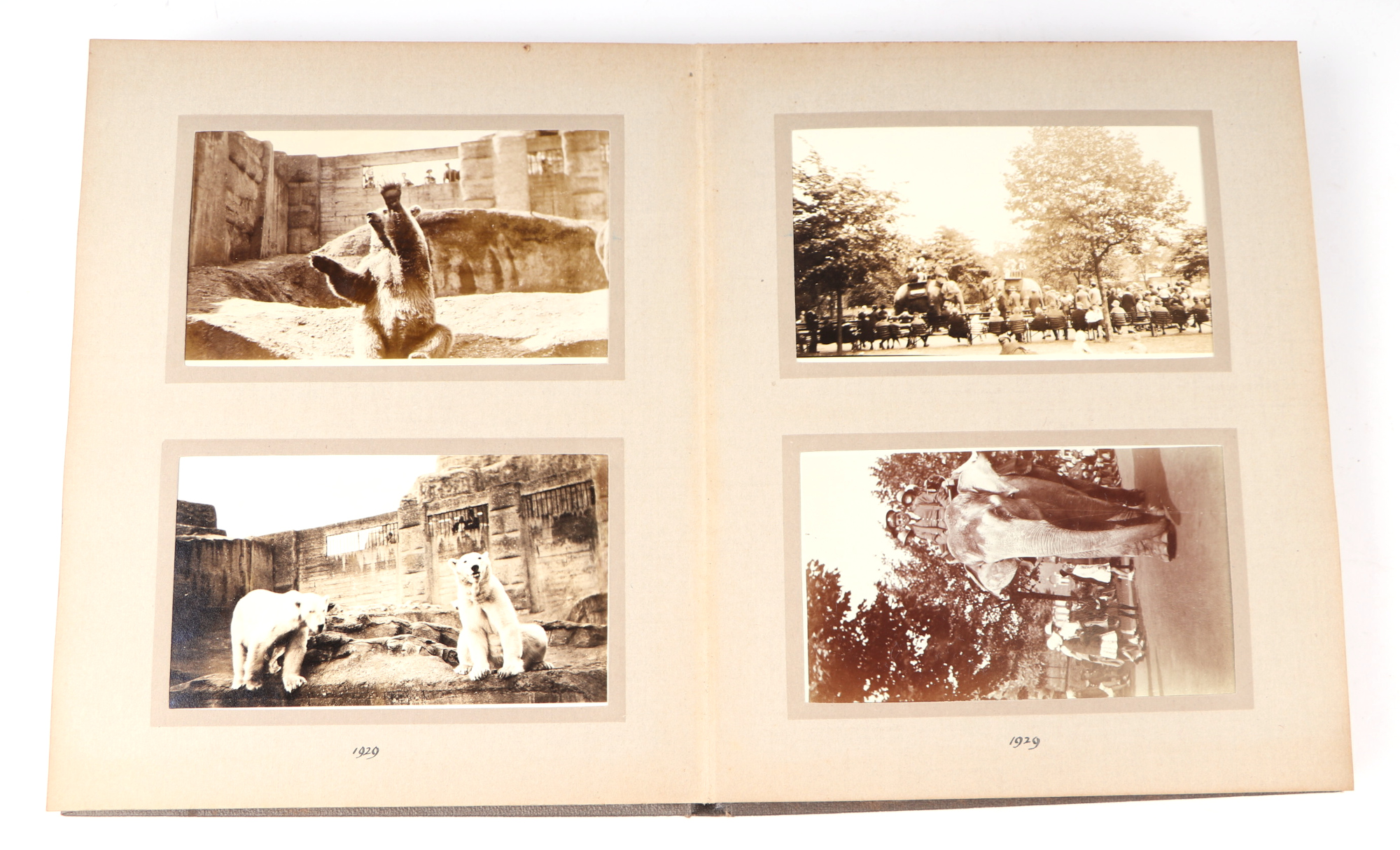 Two private photograph albums containing images of London Zoo between 1925 and 1935, each album - Image 37 of 60