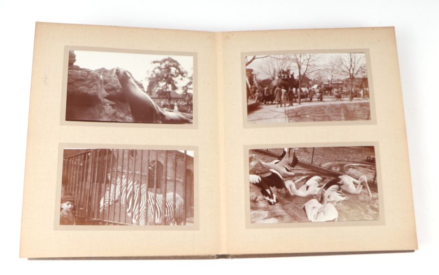 Two private photograph albums containing images of London Zoo between 1925 and 1935, each album - Image 25 of 60