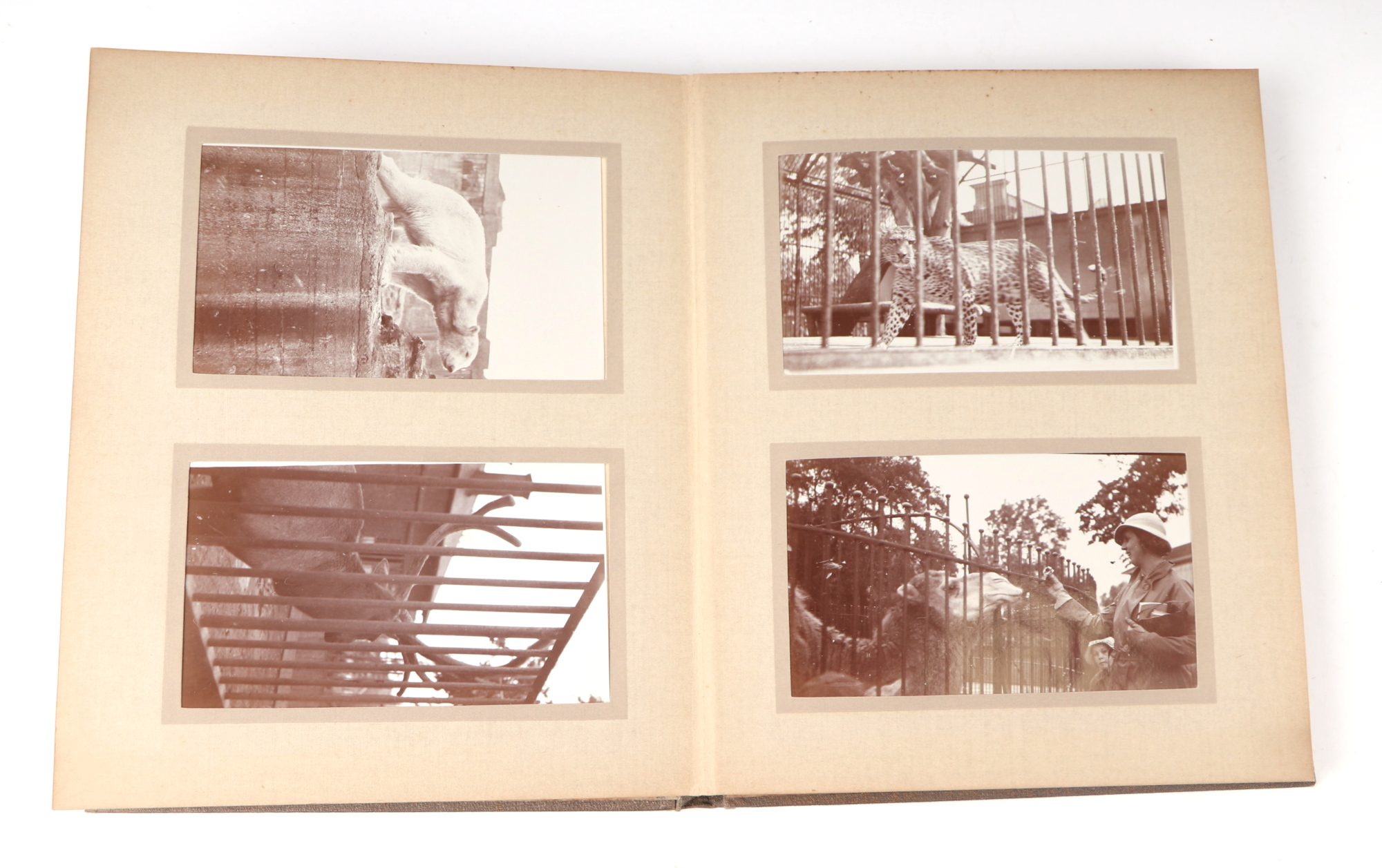 Two private photograph albums containing images of London Zoo between 1925 and 1935, each album - Image 52 of 60