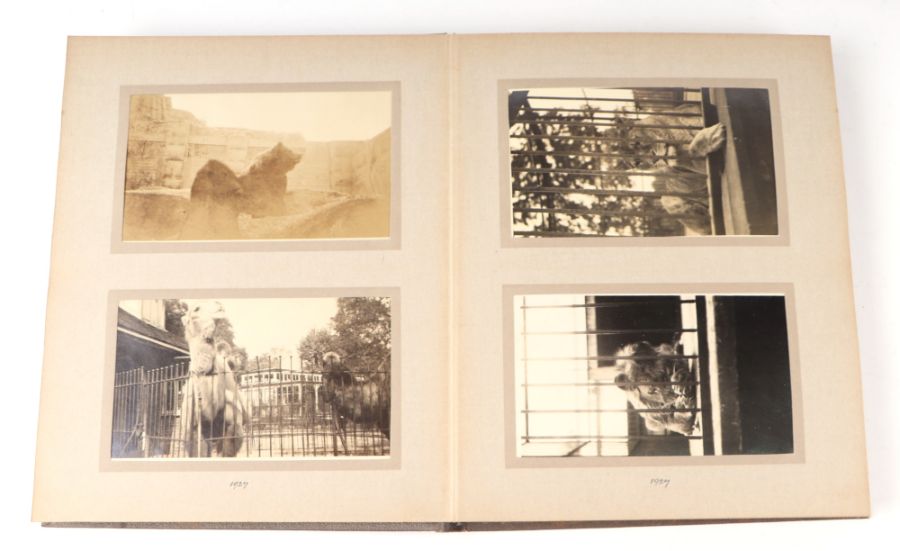 Two private photograph albums containing images of London Zoo between 1925 and 1935, each album - Image 5 of 60