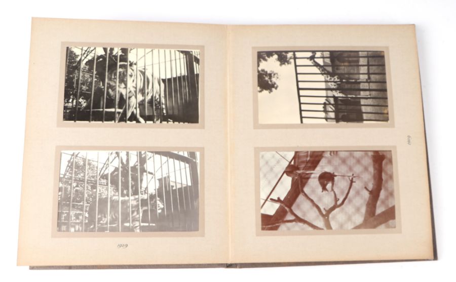 Two private photograph albums containing images of London Zoo between 1925 and 1935, each album - Image 12 of 60