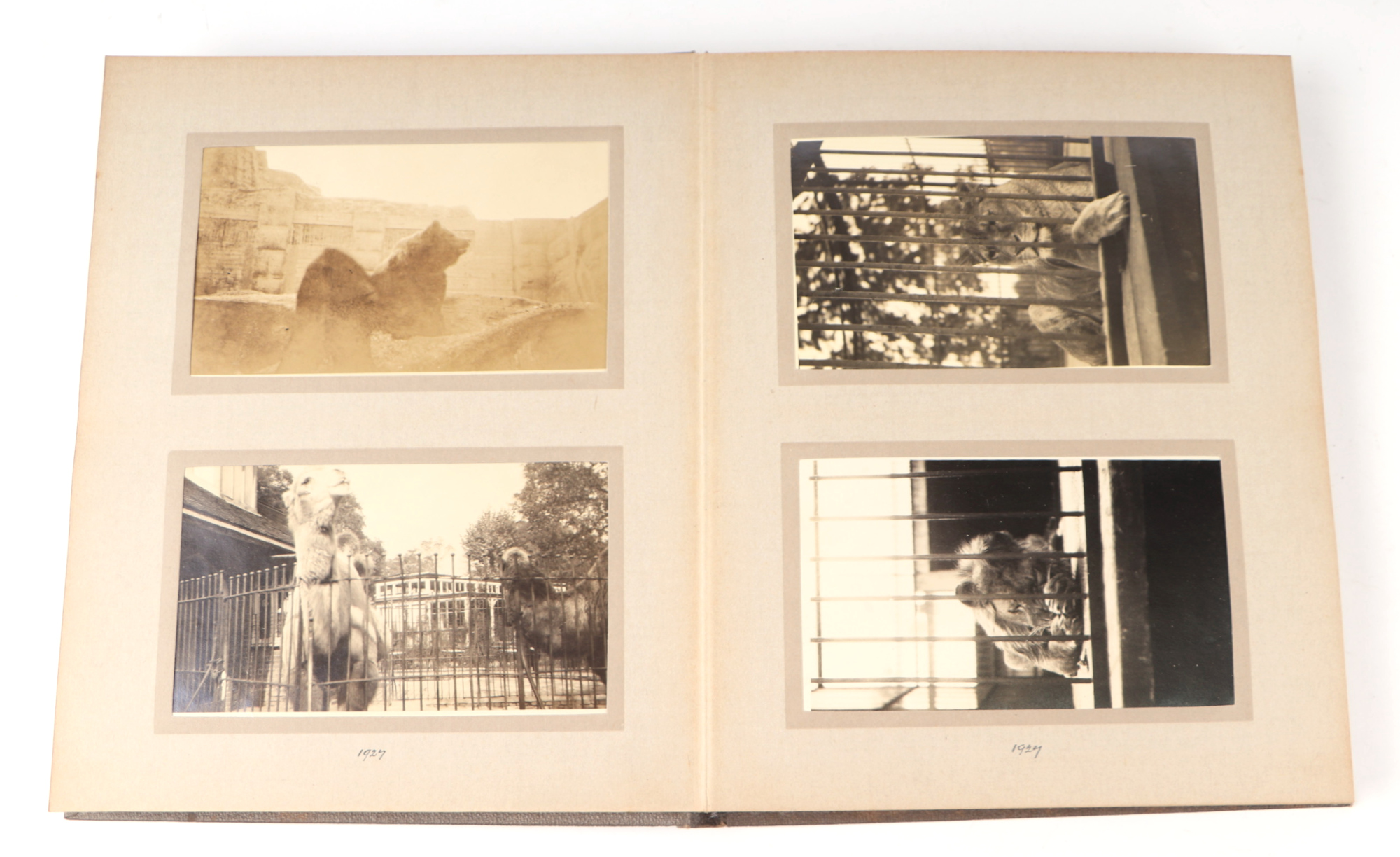 Two private photograph albums containing images of London Zoo between 1925 and 1935, each album - Image 34 of 60