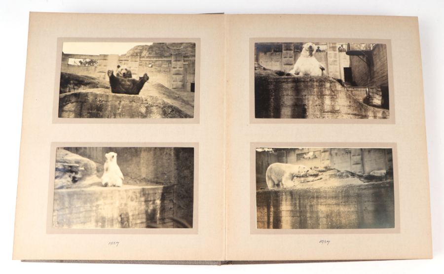 Two private photograph albums containing images of London Zoo between 1925 and 1935, each album - Image 2 of 60