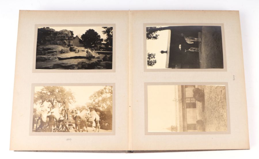 Two private photograph albums containing images of London Zoo between 1925 and 1935, each album - Image 6 of 60
