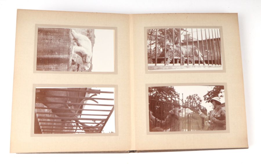 Two private photograph albums containing images of London Zoo between 1925 and 1935, each album - Image 23 of 60