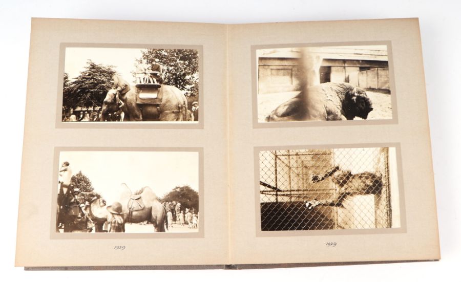 Two private photograph albums containing images of London Zoo between 1925 and 1935, each album - Image 11 of 60