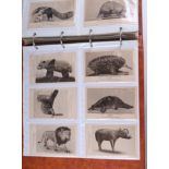 An album containing natural history and ornithological postcards.Condition ReportThere is a total of