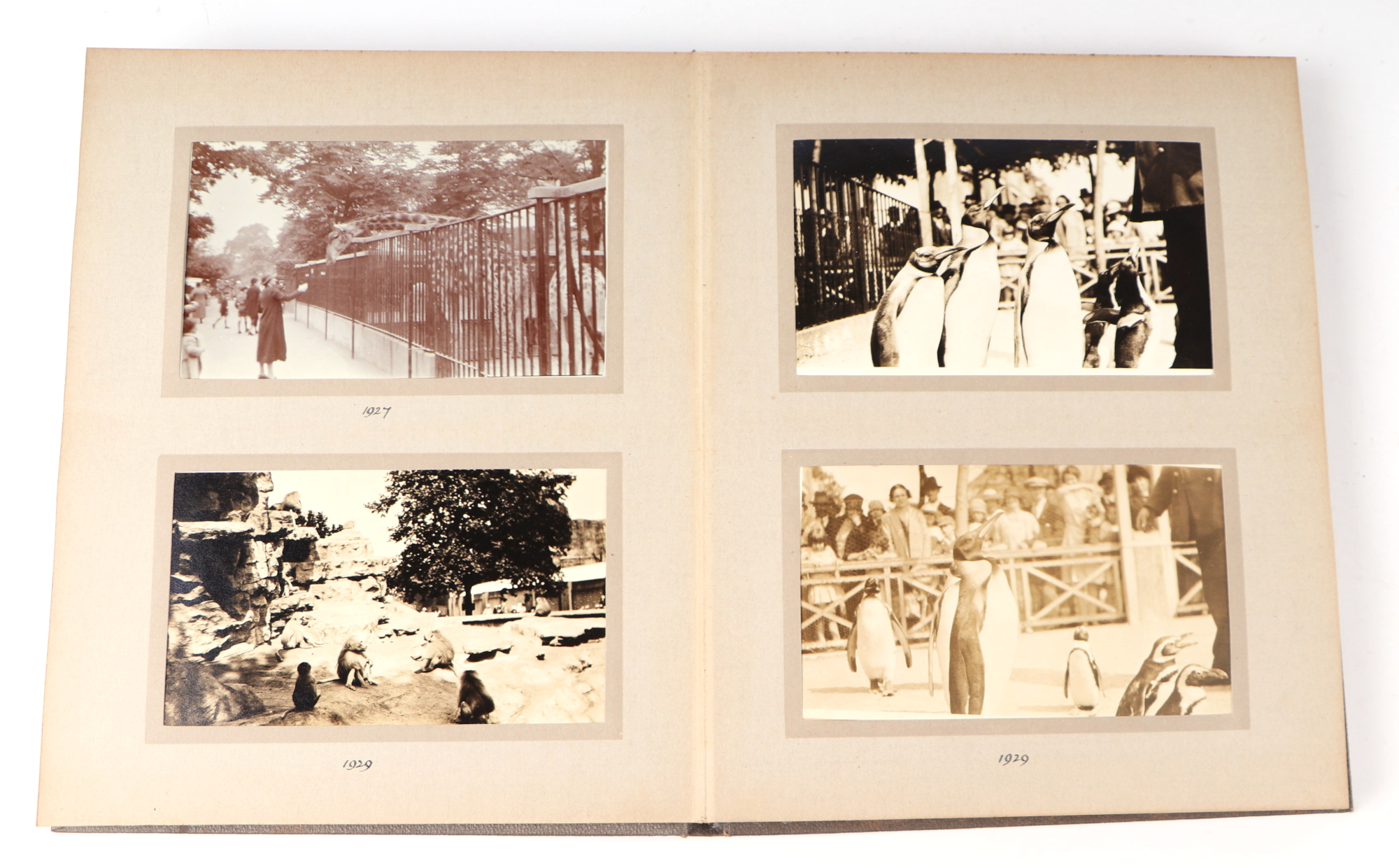 Two private photograph albums containing images of London Zoo between 1925 and 1935, each album - Image 36 of 60