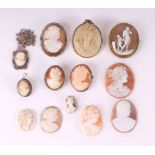 A collection of shell and lava cameos depicting classical scenes, some mounted as brooches (13).