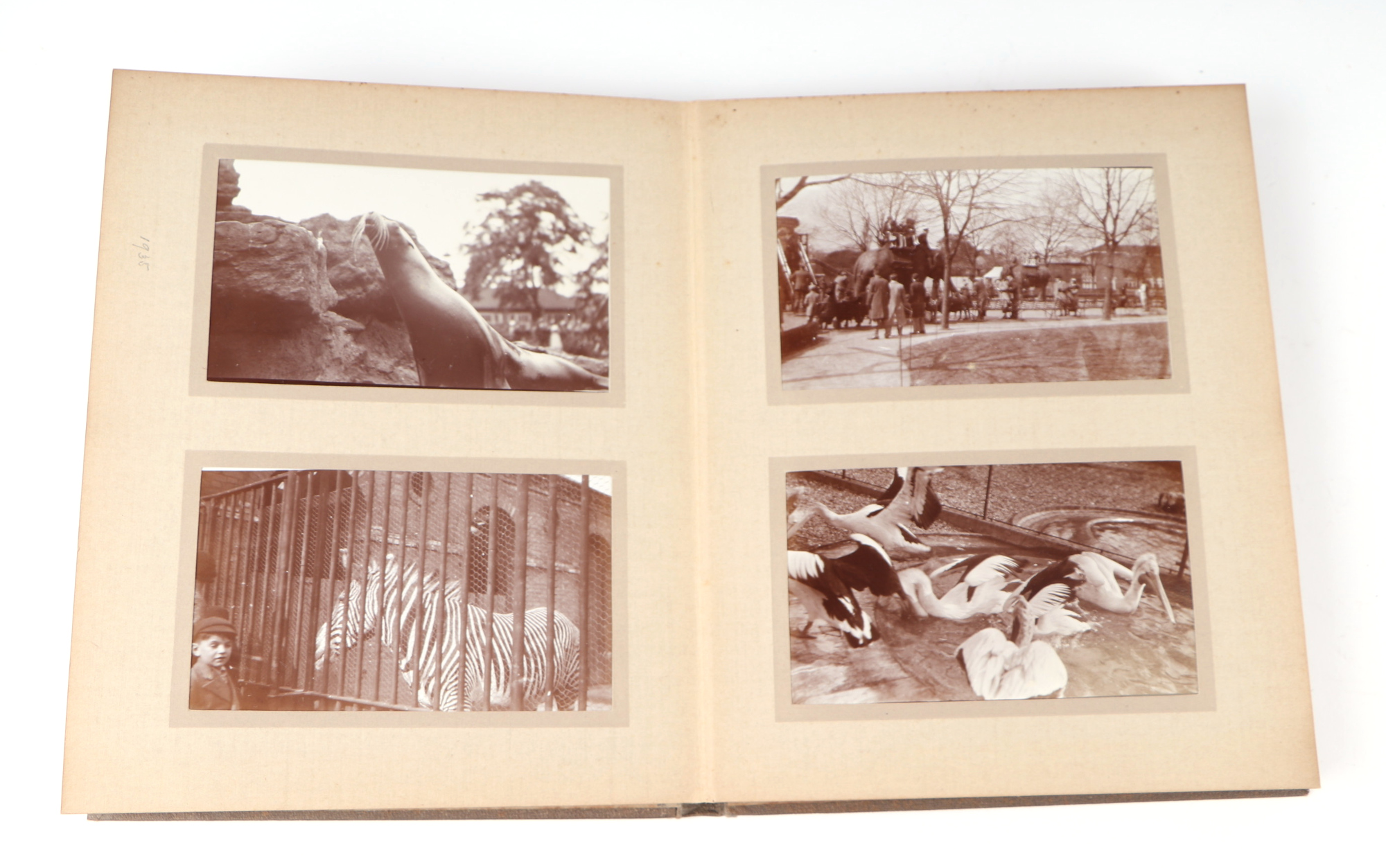 Two private photograph albums containing images of London Zoo between 1925 and 1935, each album - Image 54 of 60