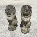 A pair of well weathered reconstituted stone seated lions, 45cm high.