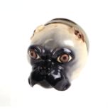 A 19th century box and cover naturalistically modelled and painted in the form of a pug dog's head