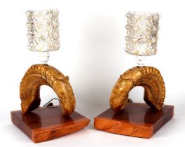 Taxidermy. A pair of ram's horn table lamps, overall 39cms high (2).