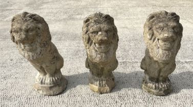 A group of three well weathered stone figures of seated lions, each 44cms high (3).