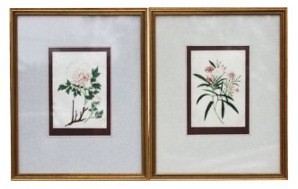 A pair of Chinese painting on pith paper depicting flowers, each 10.5 by 15cms, framed & glazed (