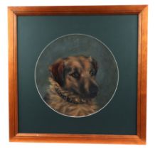 A circular portrait depicting a dog, oil on board, 30cms diameter.