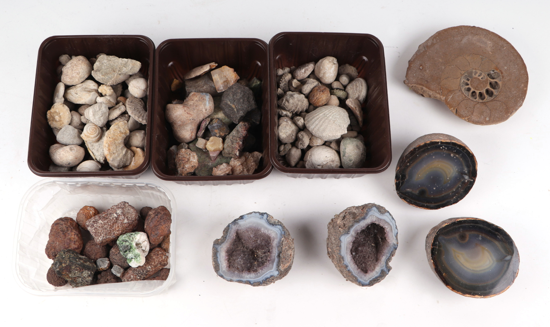 A quantity of seashells, fossils and crystal geodes. - Image 2 of 6