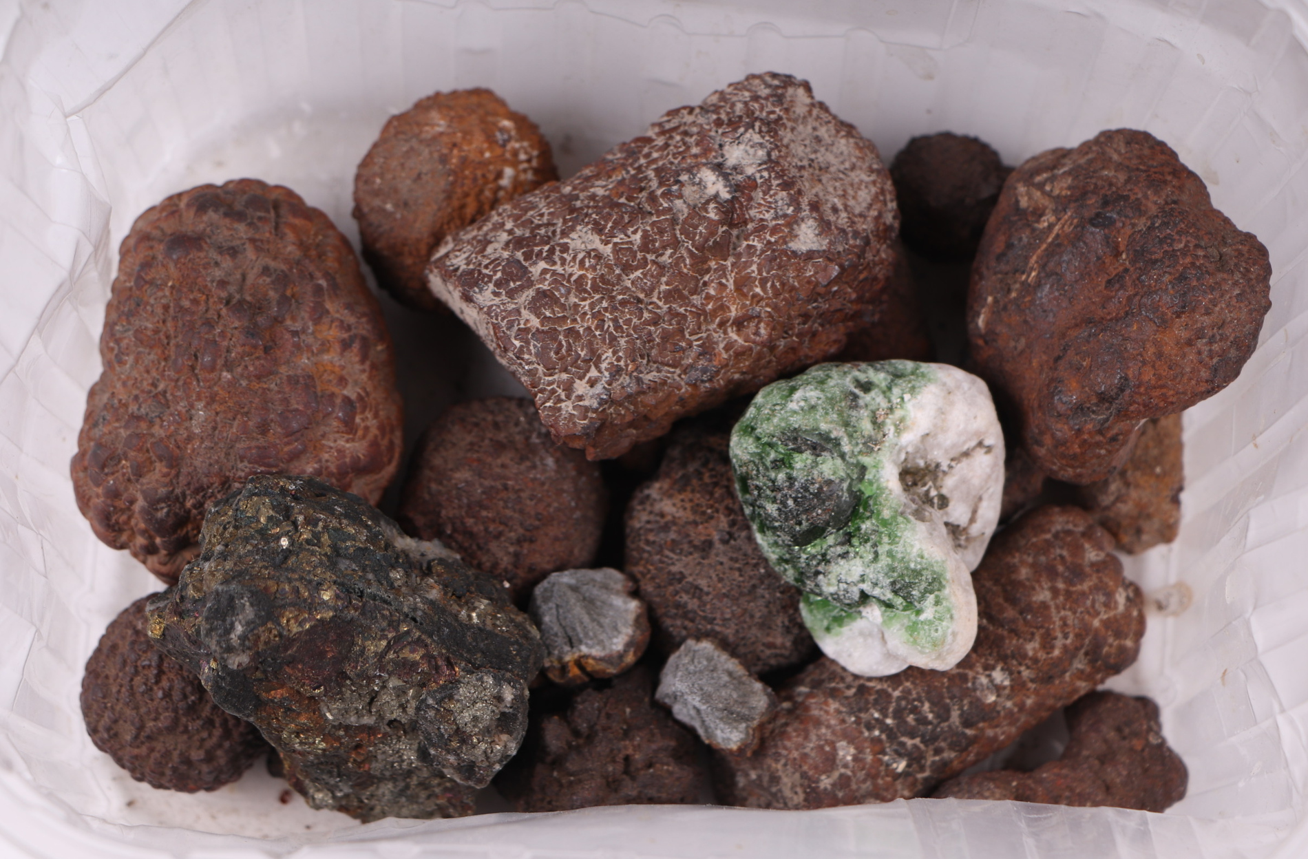 A quantity of seashells, fossils and crystal geodes. - Image 3 of 6