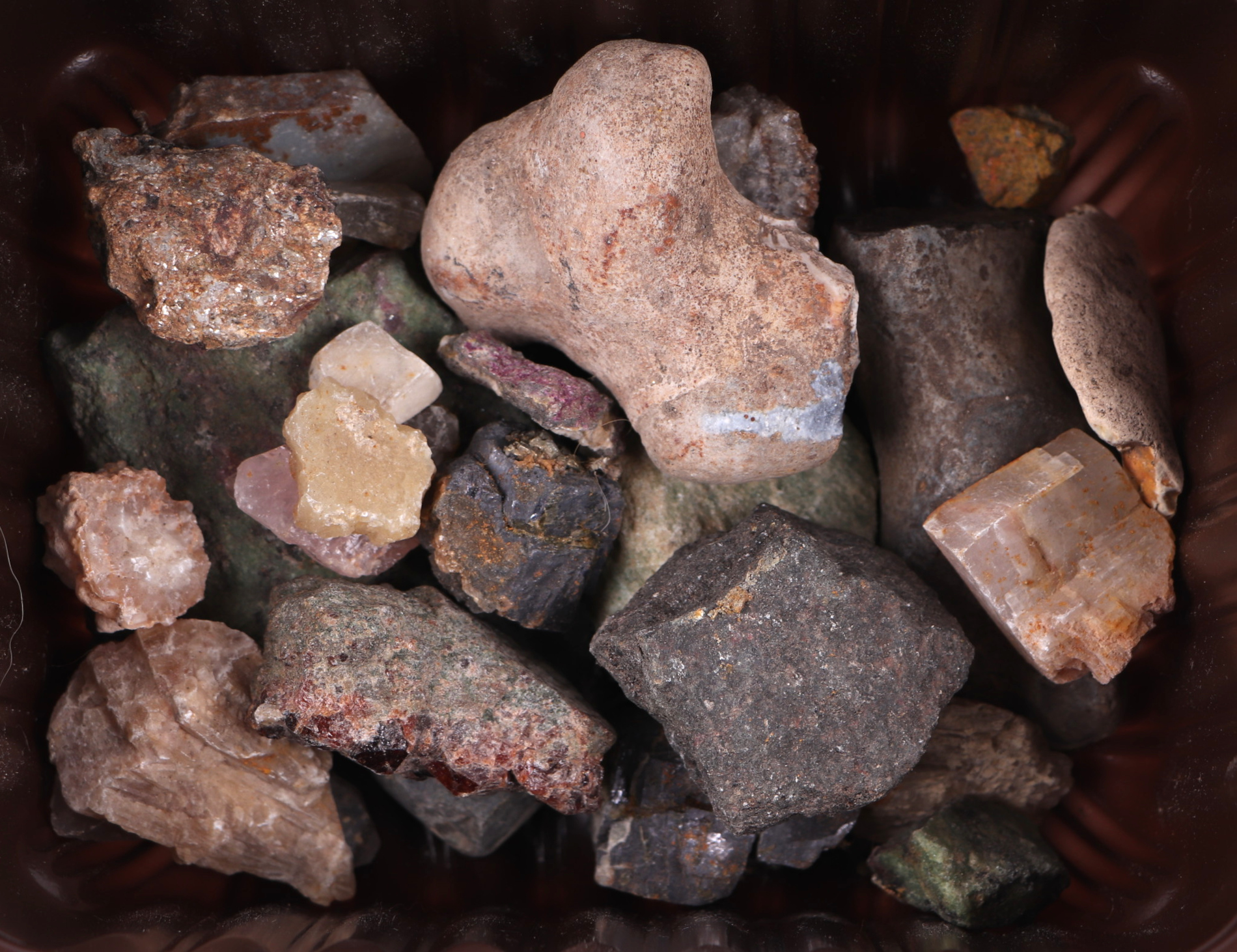 A quantity of seashells, fossils and crystal geodes. - Image 5 of 6
