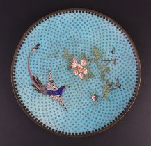 A Japanese cloisonne plate decorated with an exotic bird and foliage, on a turquoise ground, 28cms