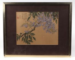 Chinese school - Study of Flowering Wisteria and Calligraphy - watercolour, framed & glazed, 25 by