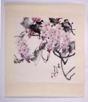 A Chinese watercolour scroll painting depicting a bird amongst flowering cherry blossom, 54 by