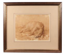 Manner of an Old Master - Study of a Boar - sepia watercolour, framed & glazed, 23 by 17cms.