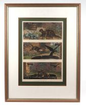 S T Dadd - A Catastrophe: The New Tale of a Tub - 19th century coloured engraving, 24 by 36cms.