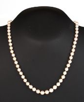 A graduated cultured pearl necklace with 9ct gold clasp, 48cms long, the largest pearl 7mm