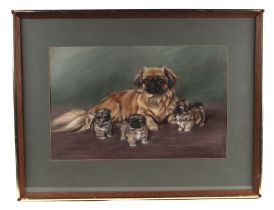 Persis Kermis (modern British) - Pekinese Dog with Puppies - pastel, signed lower right, receipt