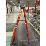 Louisville Fiberglass Ladder 6' 300lbs