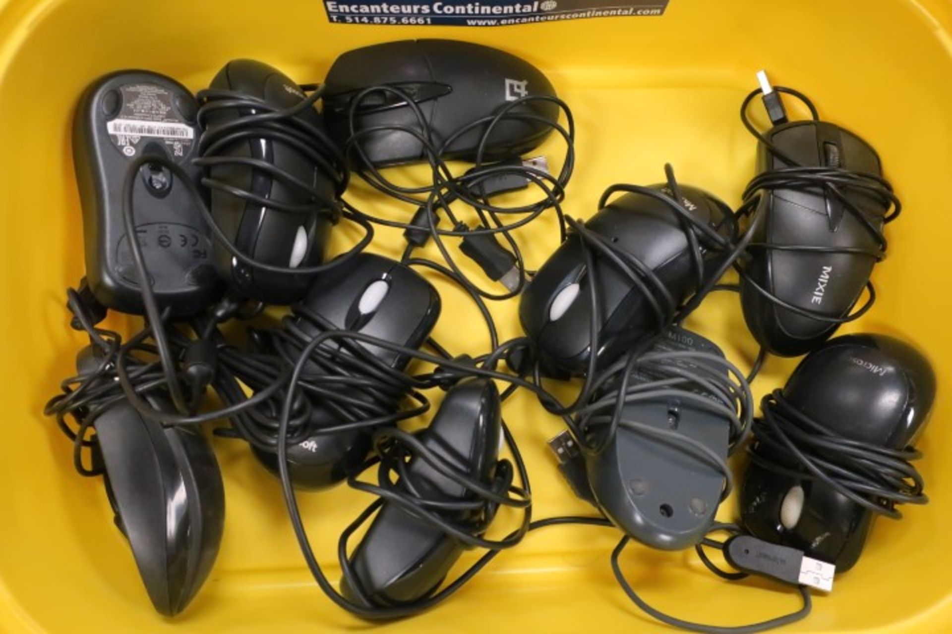 LOT DE 10 SOURIS AVEC FIL ASST.