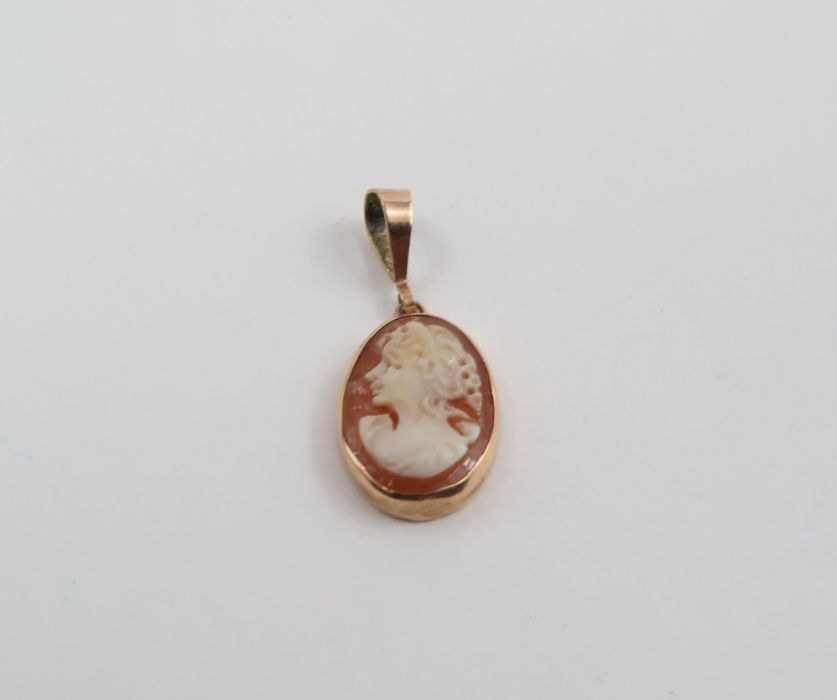 A coral bar brooch; a baby brooch; and a shell cam - Image 6 of 6