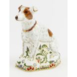 Royal Crown Derby paperweight - Parson Jack Russel
