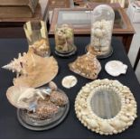 ##WITHDRAWN## A collection of shells including Cowry, Conch and
