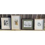 Etchings by T J Greenwood - all limited edition an