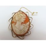 A Shell cameo brooch, in a 9 carat gold mount, 5.2