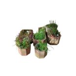 A pair of terracotta type planters together with a