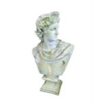 A bust of a male in the classical style, 61cm high