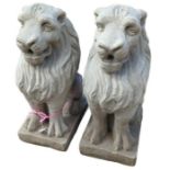 A pair of cast concrete lion garden ornaments, 54c