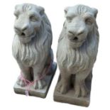 A pair of cast concrete lion garden ornaments, 54c