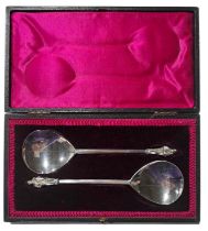 A cased pair of silver apostle type spoons, Robert