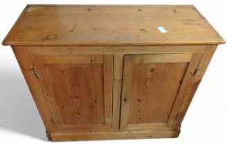 A Victorian pine cupboard, the two doors opening t