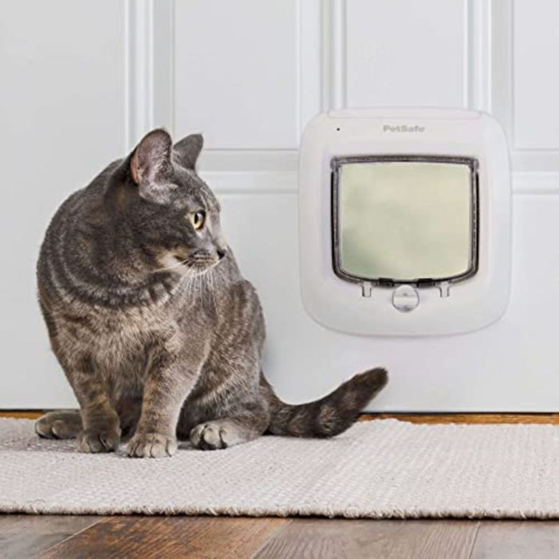 RRP £51.00 PetSafe Microchip Cat Flap, Battery Powered Pet Door, 4-Way Locking and Easy Installat