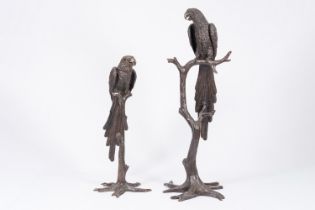 A pair of impressive brown patinated bronze models of an ara on a branch, 20th C.