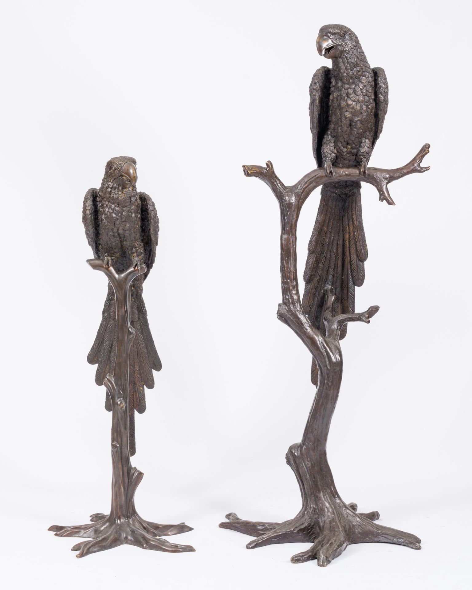 A pair of impressive brown patinated bronze models of an ara on a branch, 20th C. - Image 2 of 7