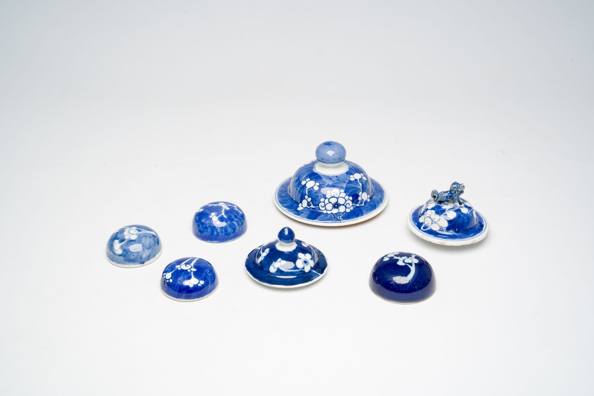 A varied collection of Chinese blue and white prunus on cracked ice ground porcelain, 19th/20th C. - Bild 14 aus 15