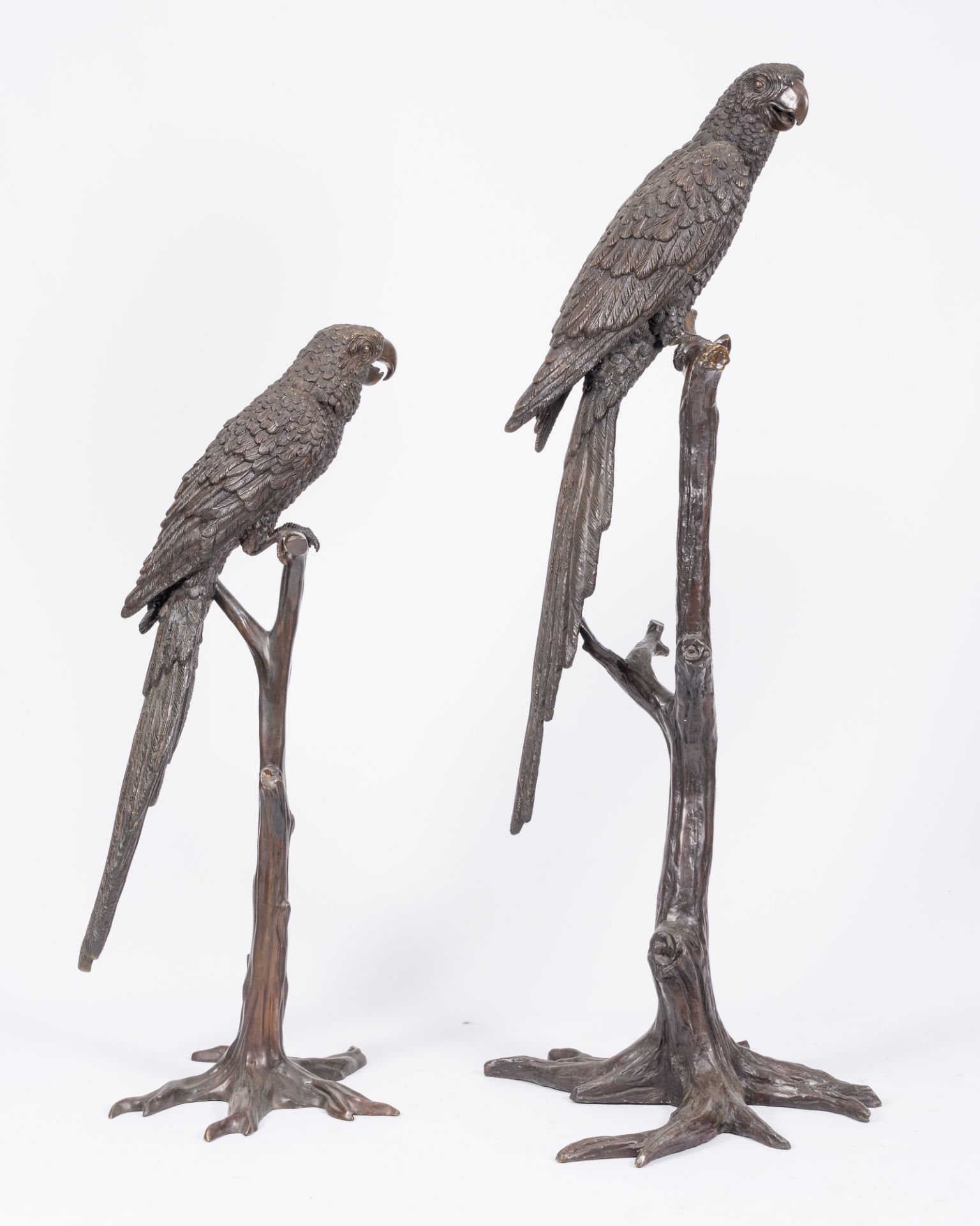 A pair of impressive brown patinated bronze models of an ara on a branch, 20th C. - Image 5 of 7