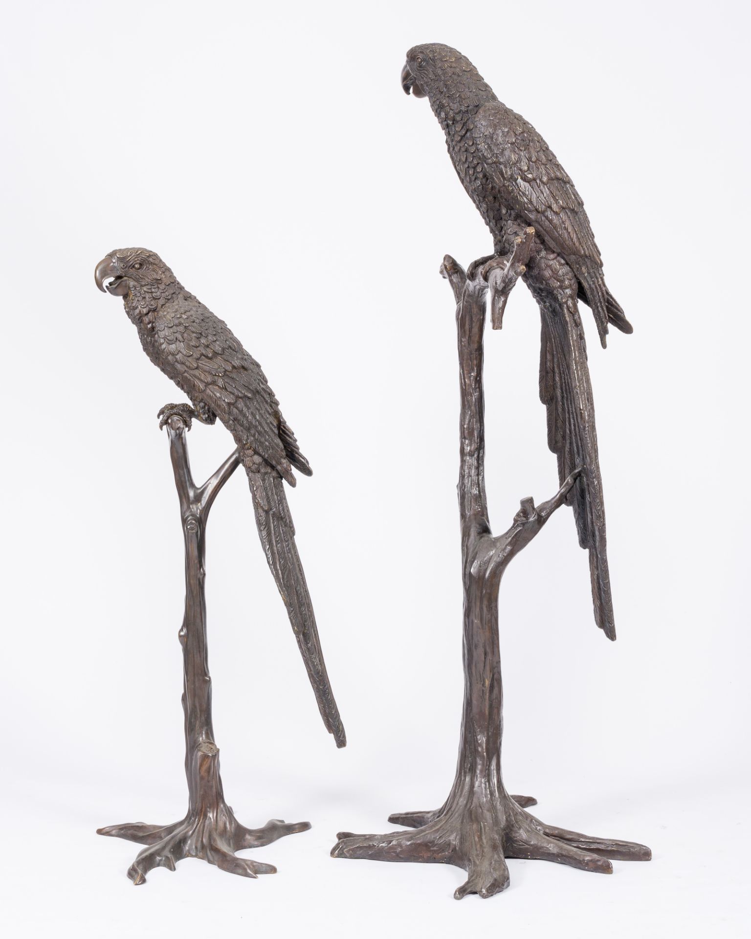 A pair of impressive brown patinated bronze models of an ara on a branch, 20th C. - Image 3 of 7
